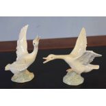 Two Lladro models of swans (2)