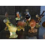 Collection of Beswick bird models including Greenfinch, Robin, Blue Tits, Bullfinch etc (8)