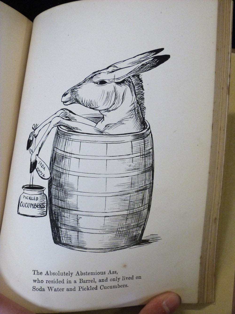 EDWARD LEAR: MORE NONSENSE, PICTURES, RHYMES, BOTANY ETC, London, Robert John Bush, 1872 [1874], 1st - Image 5 of 5