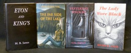 STEVE RASNIC TEM: THE FAR SIDE OF THE LAKE, Ashcroft, British Columbia, Ashtree Press, 2001, (