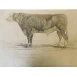 Two early 19th century stipple engraved prints, Herefordshire Bull and Herefordshire Cow, pub G