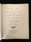 PETER HENRY EMERSON: WILD LIFE ON A TIDAL WATER, THE ADVENTURES OF A HOUSE-BOAT AND HER CREW, ill
