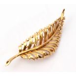 9ct gold leaf brooch, naturalistically plain polished pierced design, 6cm long, 6.5gms