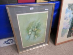 PAIR OF FRAMED NATURE INTEREST PRINTS