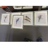 SET OF FOUR FRAMED BIRD PRINTS, EACH APPROX 29 X 34CM INC FRAME