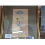 SMALL FRAMED BOTANICAL PRINT, POSSIBLY A BOOK PLATE, TOTAL WEIGHT INC FRAME 22CM