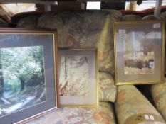 SELECTION OF THREE FRAMED PHOTOS