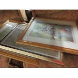 ASSORTMENT OF VARIOUS FRAMED PRINTS, LARGEST APPROX 57 X 47CM INC FRAME TOGETHER WITH A MIRROR