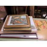 COLLECTION OF BIRD INTEREST PRINTS, LARGEST WIDTH APPROX 57CM