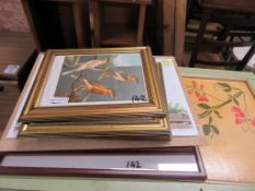 COLLECTION OF BIRD INTEREST PRINTS, LARGEST WIDTH APPROX 57CM