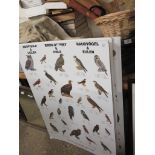 COLLECTION OF FIVE PRINTED PANELS DEPICTING BIRDS, SEASHELLS ETC, WIDTH OF EACH APPROX 70CM