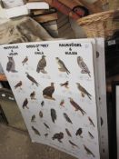 COLLECTION OF FIVE PRINTED PANELS DEPICTING BIRDS, SEASHELLS ETC, WIDTH OF EACH APPROX 70CM