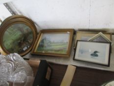 QUANTITY OF FRAMED PRINTS