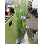 The Seasonal Aisle Onion Grass in Pot, RRP £18.99 Size: 60cm H x 22cm W x 22cm D