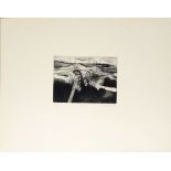 •Jennifer Dickson, CM, RA (born 1936), "Cevous", black and white etching and aquatint, signed, dated