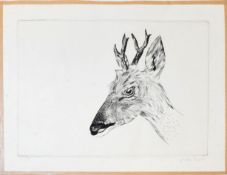 •AR Joseph Hecht (1891-1951), Deer head, black and white etching, signed lower right and numbered
