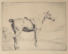 •Alice Ellis (20th century), A Pony, dry-point etching, signed in pencil to lower right, 15 x 20cm