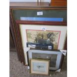 COLLECTION OF VARIOUS FRAMED PRINTS