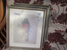 SET OF FOUR FRAMED BIRD PRINTS, EACH APPROX 29 X 34CM INC FRAME