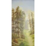 Ada Stone, Wooded landscape, oil on canvas, signed lower left, 61 x 30cm, unframed