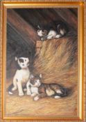 Modern School, Cats in a barn, oil on board, indistinctly signed lower right, 55 x 36cm