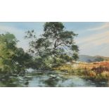 D Rothwell Bailey, "Near Newby Bridge, Cumbria", watercolour, signed and dated 1981, 26 x 36cm