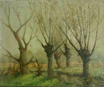 A J Newhurst, Woodland scene, oil on board, signed and dated 1951 lower left, 24 x 29cm, unframed