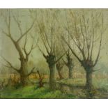 A J Newhurst, Woodland scene, oil on board, signed and dated 1951 lower left, 24 x 29cm, unframed