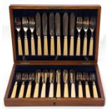 Canteen of fish knives and forks for 12, with bone handles, in an oak case with vacant brass name