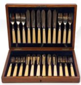 Canteen of fish knives and forks for 12, with bone handles, in an oak case with vacant brass name