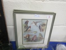 THREE VARIOUS FRAMED BIRD PRINTS, EACH FRAME APPROX 33CM