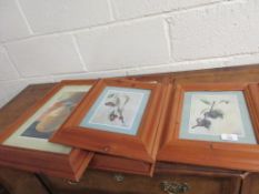 SELECTION OF FRAMED BOTANICAL AND OTHER PRINTS