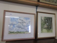 TWO FRAMED WATERCOLOURS, ONE DEPICTING A LANDSCAPE WITH A CLOUDY SKY, THE OTHER DEPICTING A WOODLAND