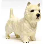 Beswick model of a Westie terrier with Beswick back stamp to base