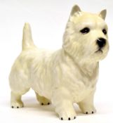 Beswick model of a Westie terrier with Beswick back stamp to base