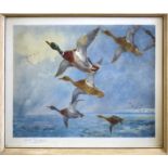 Archibald Thorburn (1860-1935), "Mallard in Squally Weather", coloured print, published by W F