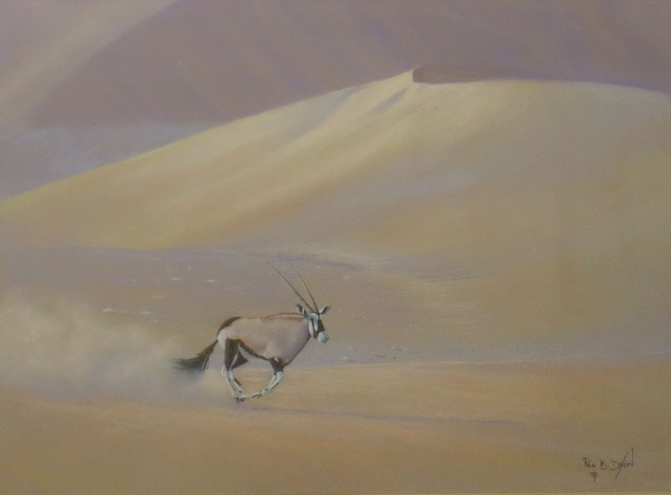 Paul B Dixon (born 1956), Gemsbok in desert, pastel, signed and dated 97 lower right, 54 x 73cm