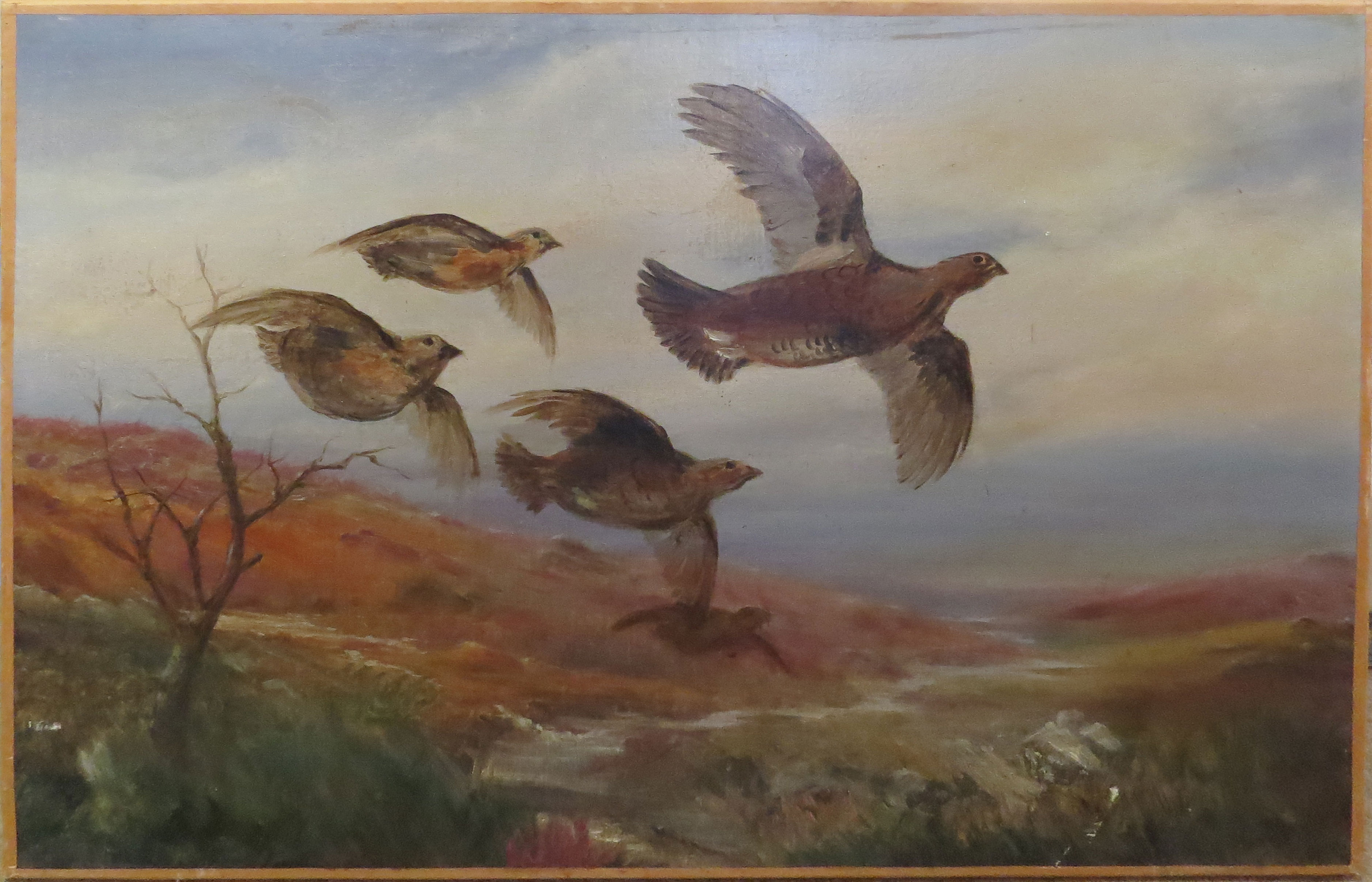 •AR Roland Green (1896-1972) Grouse (in the Highlands) oil on canvas, unsigned 45 x 71cms