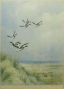 AR Roland Green (1896-1972), Mallard alighting, coloured print, signed in pencil to lower right