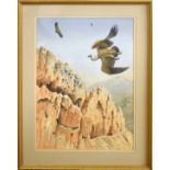 AR John Tennent (Born 1926), "Vultures in Crete", watercolour, signed lower left, 55 x 40cm