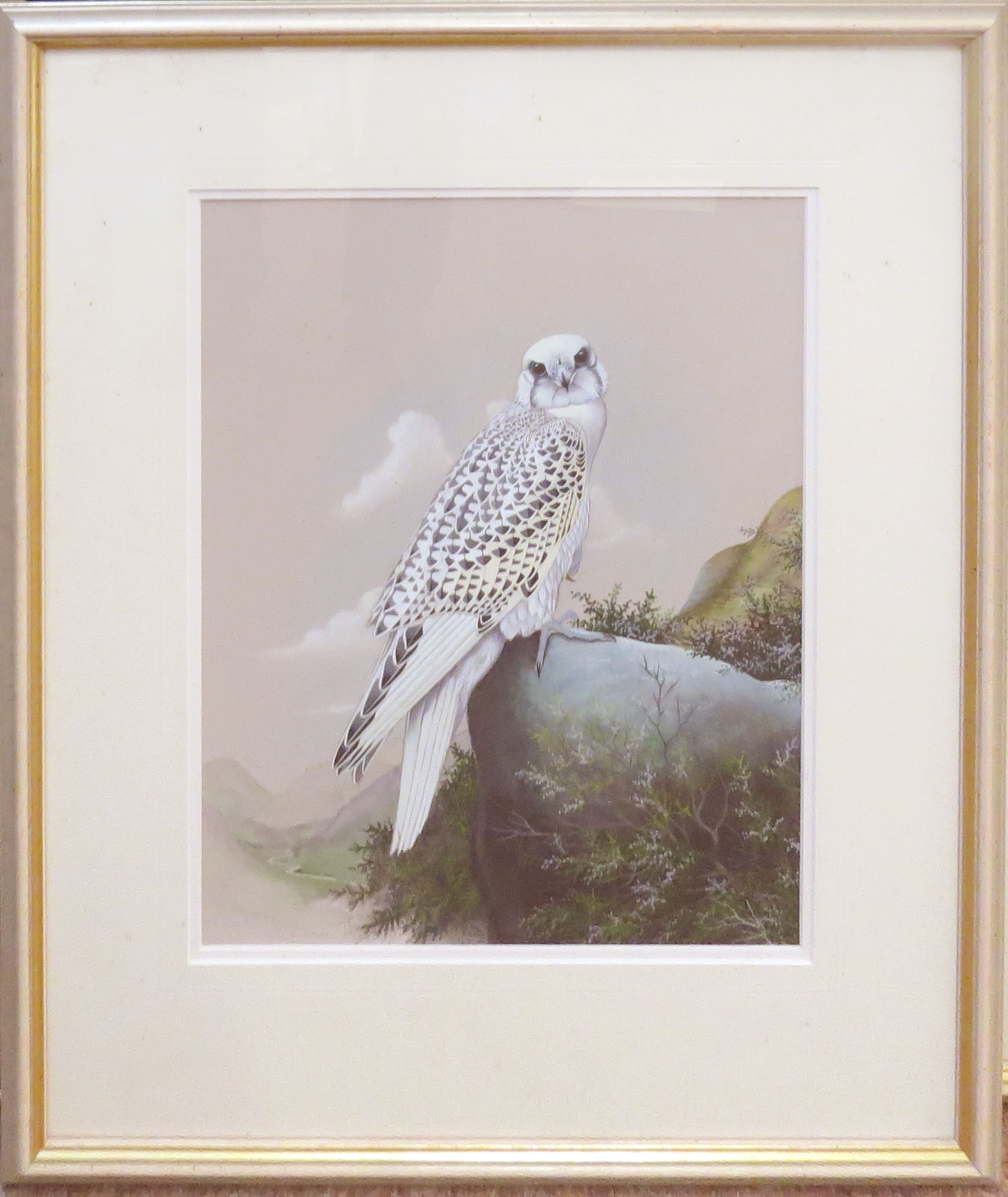 S L Marten (20th century), "Gyr Falcon", watercolour and gouache, signed and inscribed with title