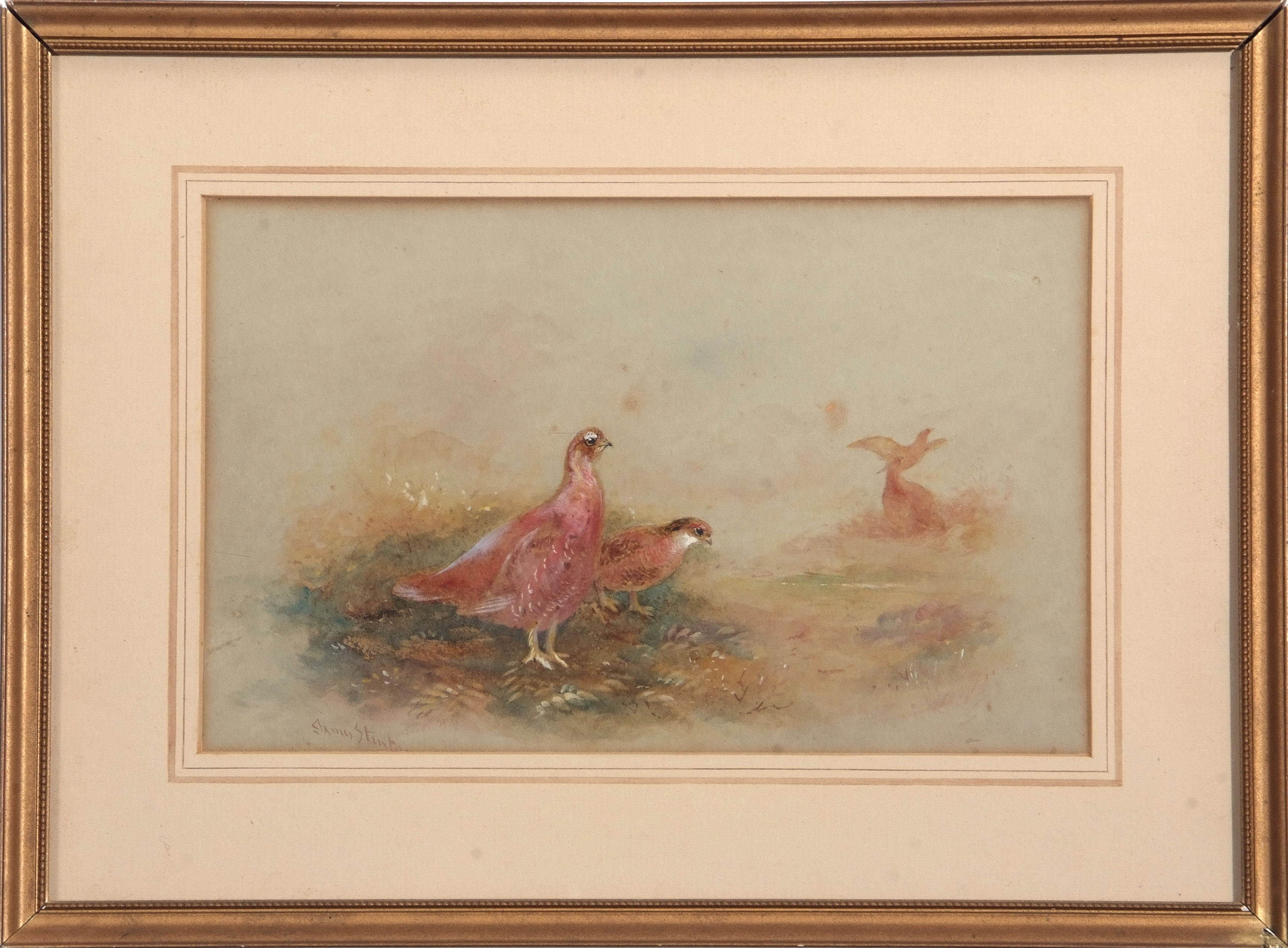 •AR James Stinton (1870-1961), Grouse, Partridge and Pheasants, group of 3 watercolours, all signed, - Image 3 of 4