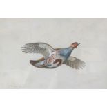 C Stanley Todd (1923-2004), English partridge n flight, watercolour, signed and dated 1973