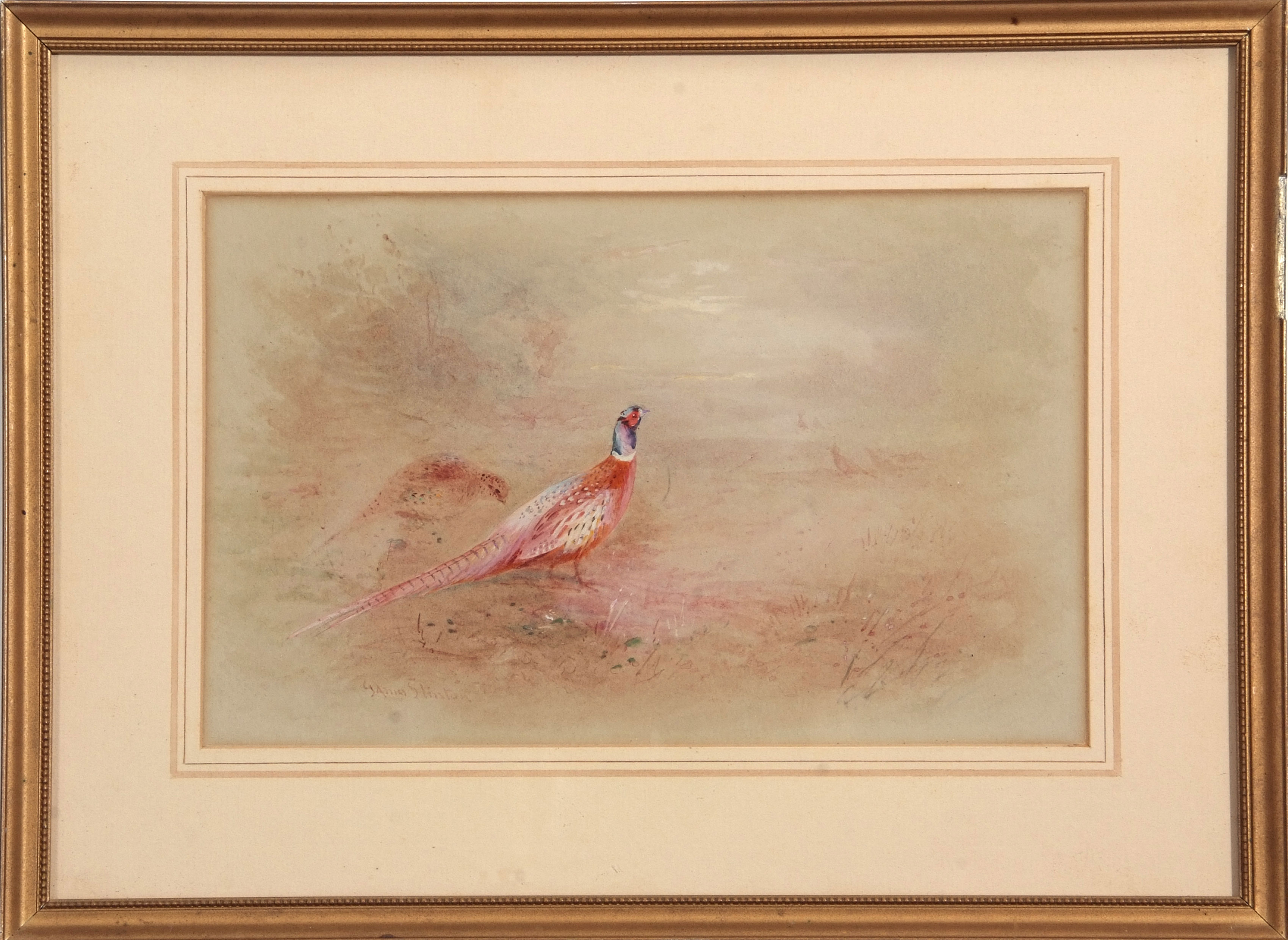 •AR James Stinton (1870-1961), Grouse, Partridge and Pheasants, group of 3 watercolours, all signed, - Image 4 of 4