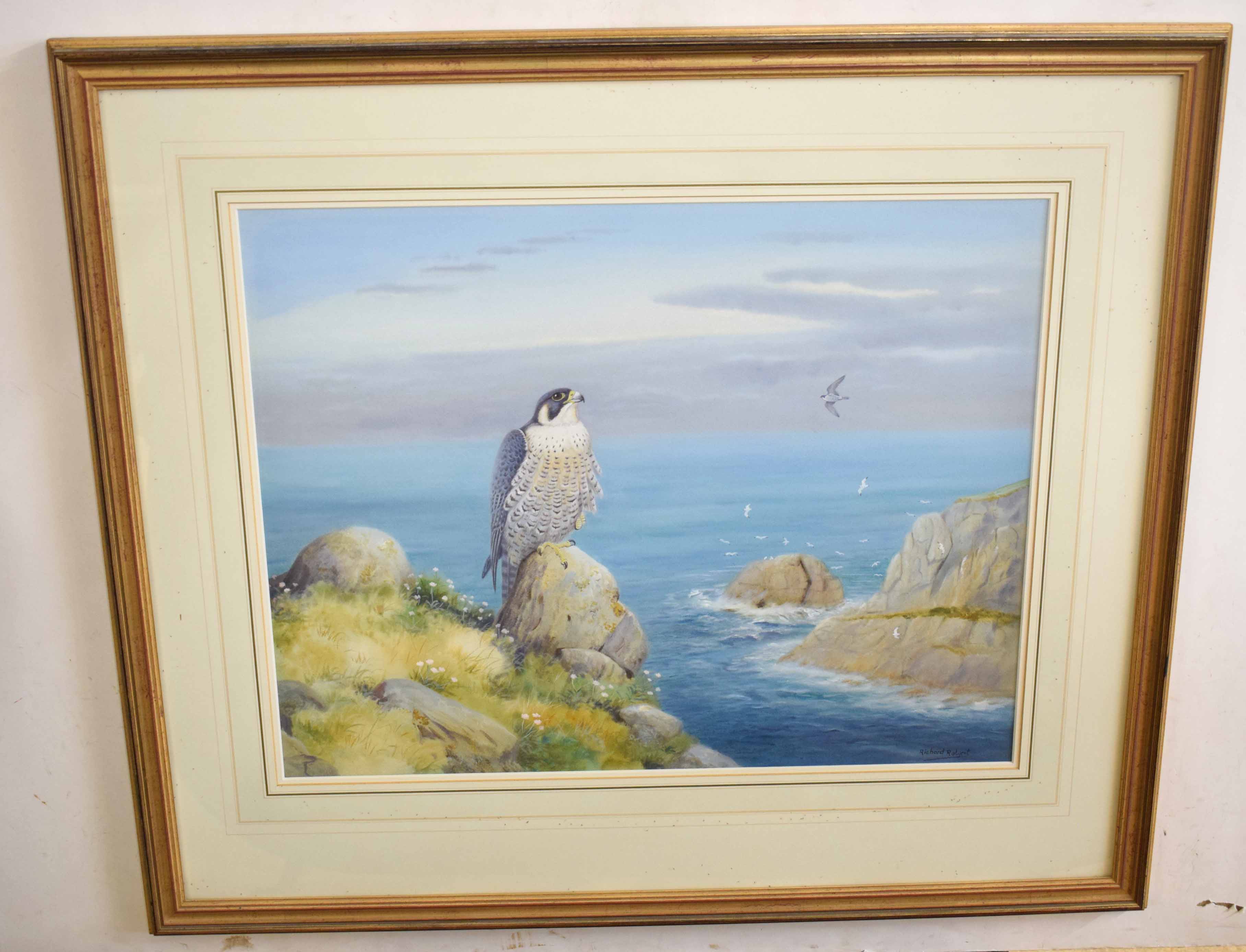 •AR Richard Robjent (Born 1937), Peregrine Falcon in Coastal Landscape, watercolour, signed lower