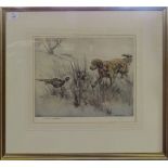 Henry Wilkinson (1921-2011), Pheasant and spaniel, coloured etching, signed and numbered 67/150 in