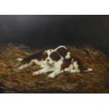 Stephen Clark (contemporary), Puppies, oil on canvas, signed lower left, 29 x 39cm