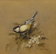 David Ord Kerr (born 1951), "The Great Tit", watercolour, signed and dated 1972 lower right, 17 x
