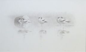 •AR LARS JONSSON (born 1952) "Avocets" black and white lithograph, signed and numbered 77/100 in