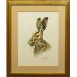 Carl Donner (born 1957), Hare, watercolour, signed lower right, 32 x 24cm